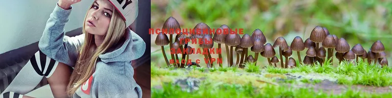 Псилоцибиновые грибы MAGIC MUSHROOMS Белозерск