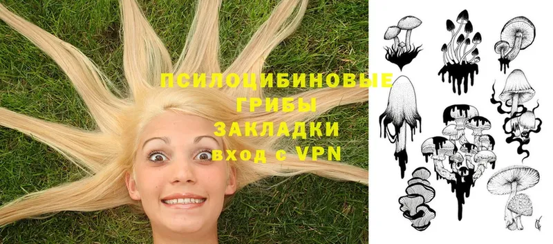 Галлюциногенные грибы Psilocybe  OMG как зайти  Белозерск 